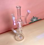  Bongs COUPLE cặp đôi đế bầu - WP248 