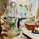  Bongs mini đế xòe - SP166 