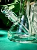  PHX842 - Bongs nhỏ mini phoenix basic siêu nhỏ đế bầu 
