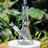  Bongs basic mini đế bầu HIT - HIT01 