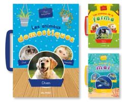 Carry Along and Learn