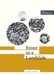 Hòn Đá Trong Một Cuộc Sạt Lở Đất