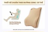  Bộ gối đầu và tựa lưng ô tô cao su non cao cấp P113 