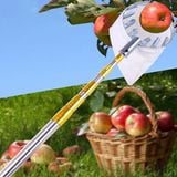  Sào Hái Trái Cây Trên Cao Rút Gọn Siêu Chắc (Dài 3M) 