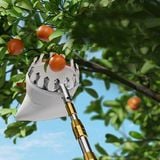  Sào Hái Trái Cây Trên Cao Rút Gọn Siêu Chắc (Dài 3M) 