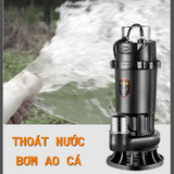  Máy Bơm Chìm Nước Thải Và Cắt Rác Đa Năng 