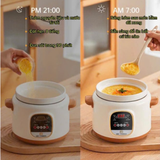  Nồi Hầm Điện Lõi Sứ Đa Năng Cao Cấp 