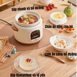  Nồi Hầm Điện Lõi Sứ Đa Năng Cao Cấp 