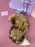 FOX TAIL 