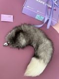 FOX TAIL 