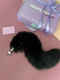  FOX TAIL 
