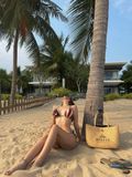  AMERICAN BIKINI 