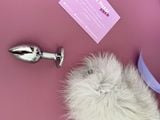  FOX TAIL 