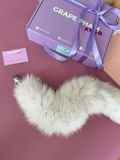  FOX TAIL 
