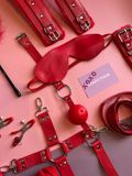  BDSM 10 ITEMS 