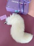  FOX TAIL 