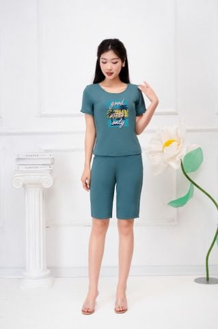  Bộ mặc nhà chất đũi lụa tay ngắn họa tiết cây dừa 