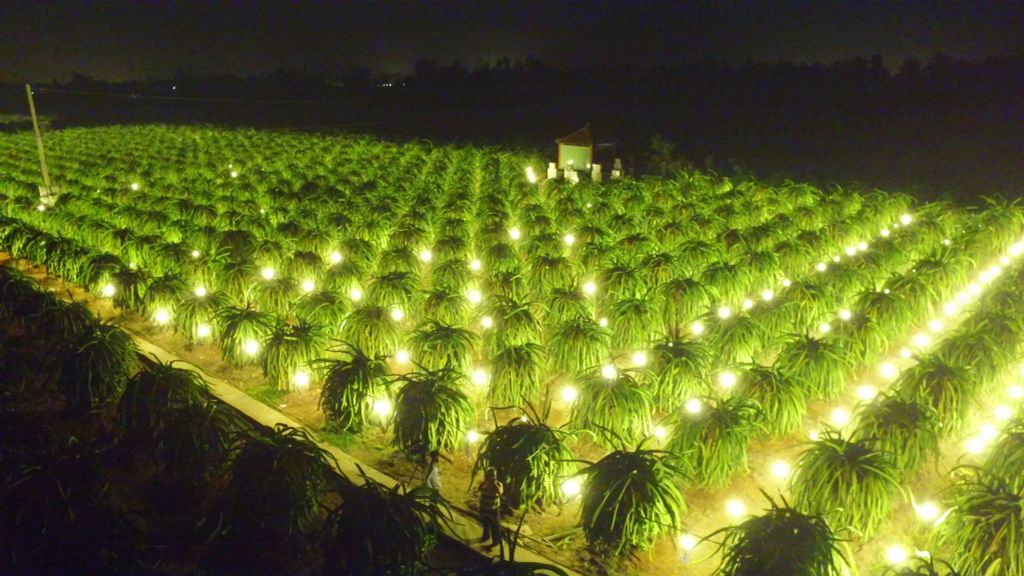BÓNG ĐÈN LED 65W E27 | BÚP LED 65W E27
