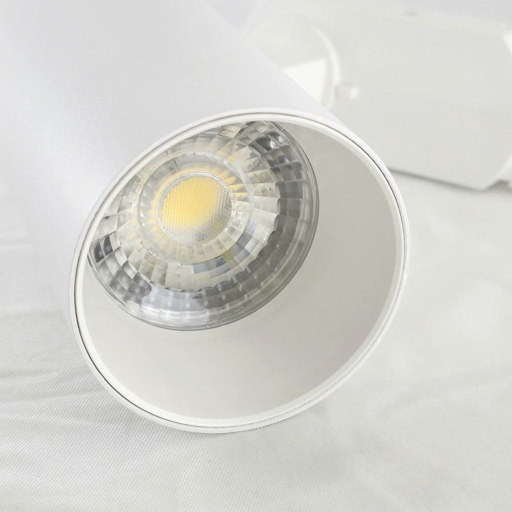 Đèn Rọi Ray 20W 3CCT (Có Công Tắc Chuyển Màu)