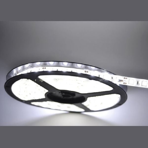 Đèn Led Dây 12V 5050 14.4w/M | Cuộn 5 mét