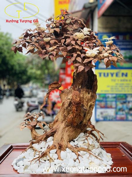 Bonsai cây gỗ sưa