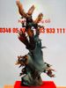 Phượng Hoàng lửa hoa phù dung gỗ trắc
