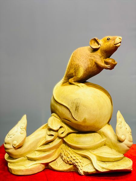 Chuột trấn bao hương.