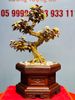 Bonsai Hoa Phù Dung Ngà Voi Gỗ Hoàng Đàn