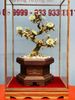 Bonsai Hoa Phù Dung Ngà Voi Gỗ Hoàng Đàn