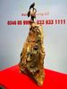 Đạt Ma Gỗ Trắc