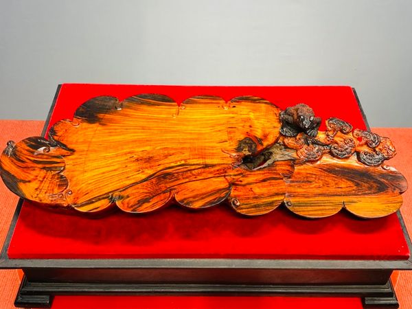 Khay Trà Thiềm Thừ Nấm Linh Chi Gỗ Trắc