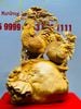 Gia Đình Gà Đứng Bao Tiền Cây Tùng Gỗ Hương