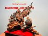 Gia Đình Gà Gỗ Trắc