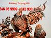 Gia Đình Gà Gỗ Trắc