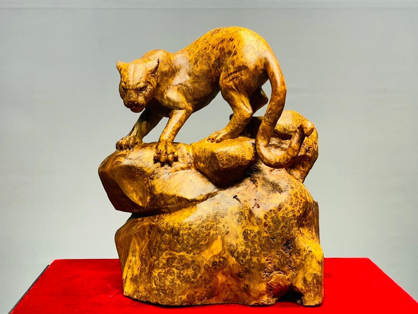 Báo Săn Mồi Gỗ Nu Ngọc Am