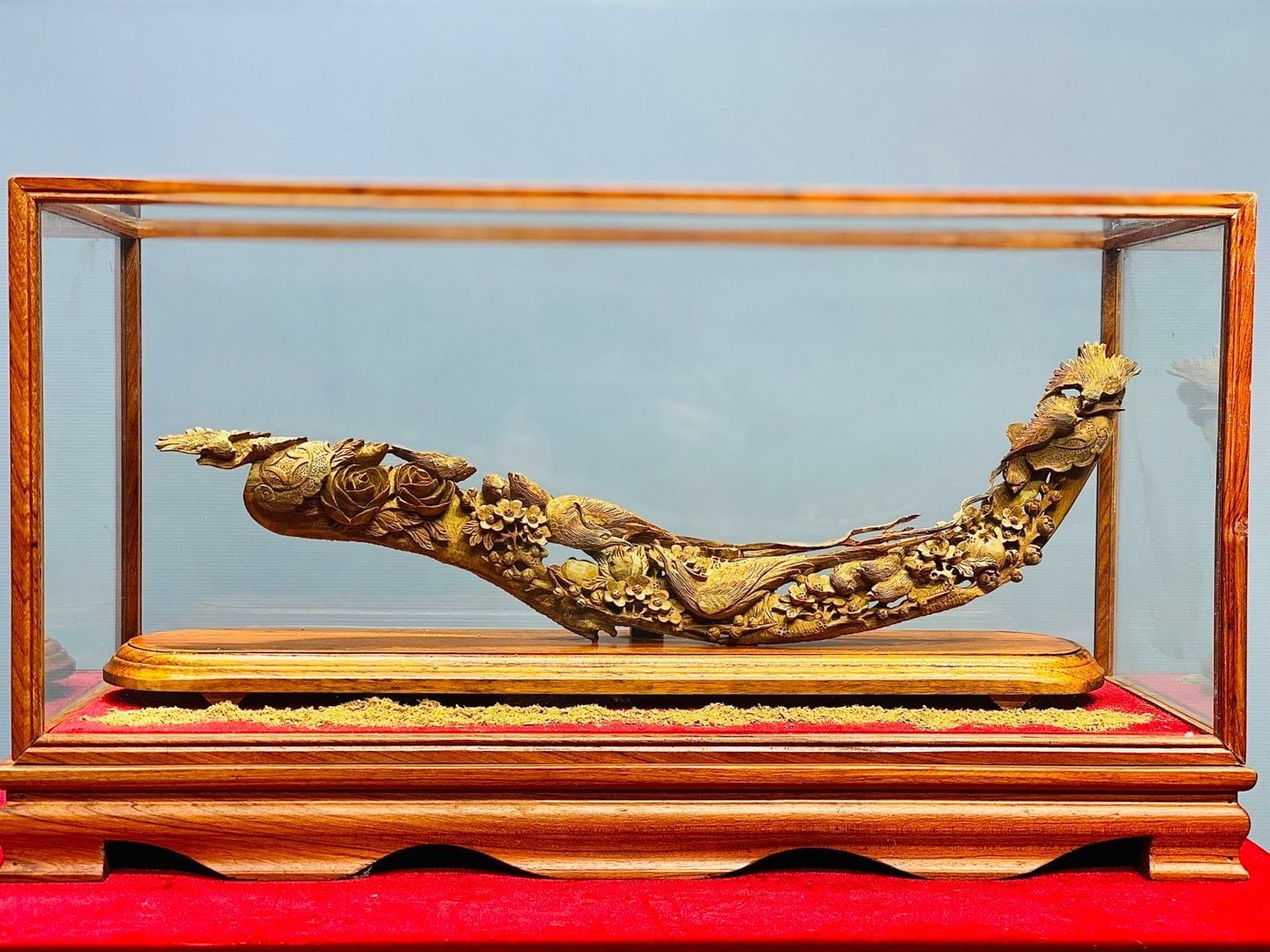 Bách Điểu Trầu Hoàng Gỗ Hoàng Đàn