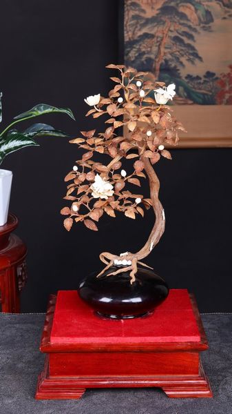 Bonsai Hoa Phù Dung Gỗ Sưa