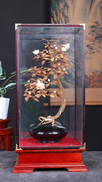 Bonsai Hoa Phù Dung Gỗ Sưa