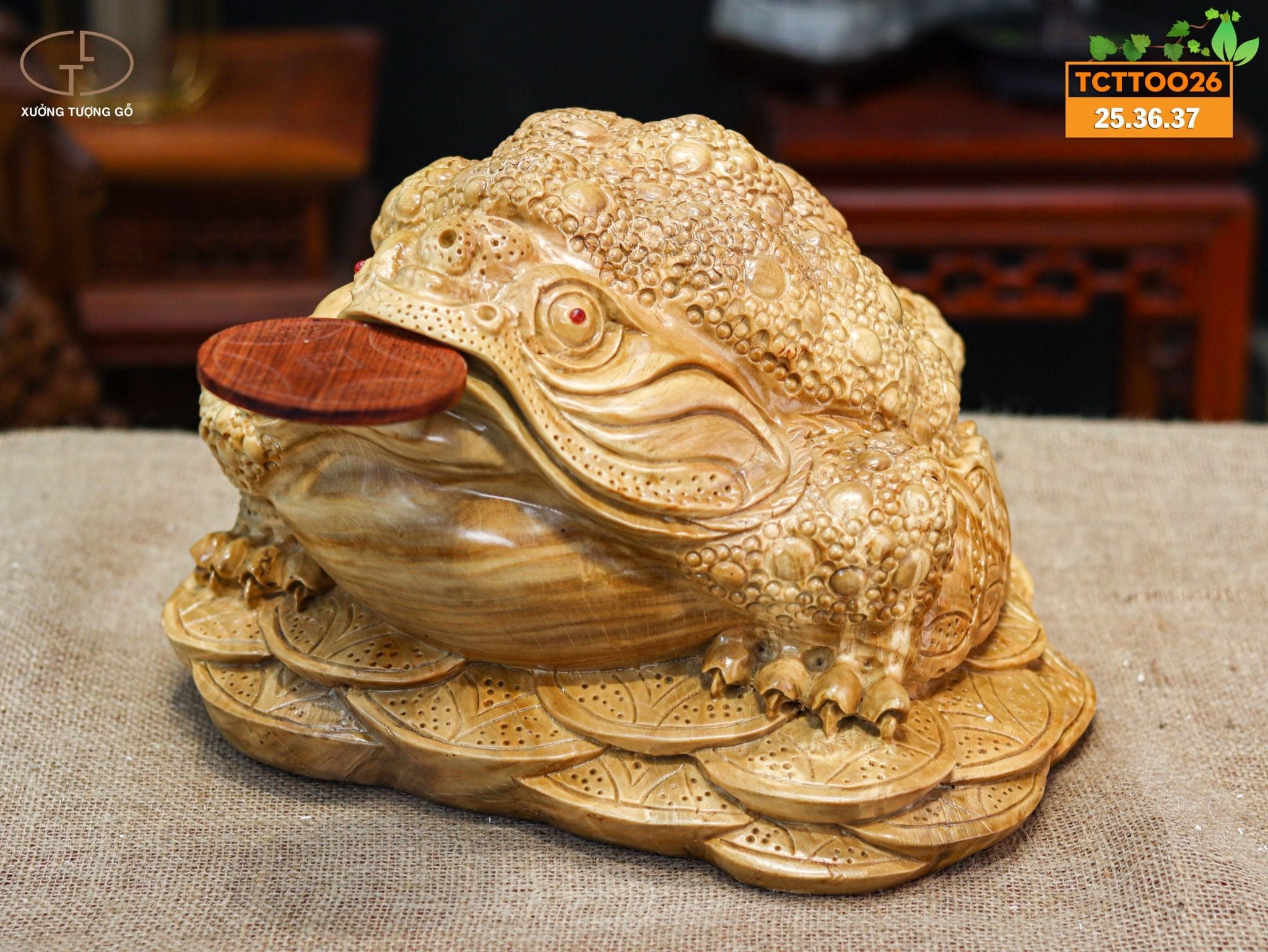 Cóc ngọc nghiến