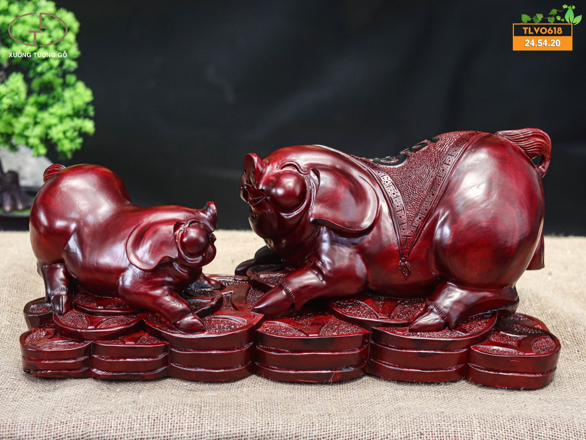 Song heo tử đàn đỏ