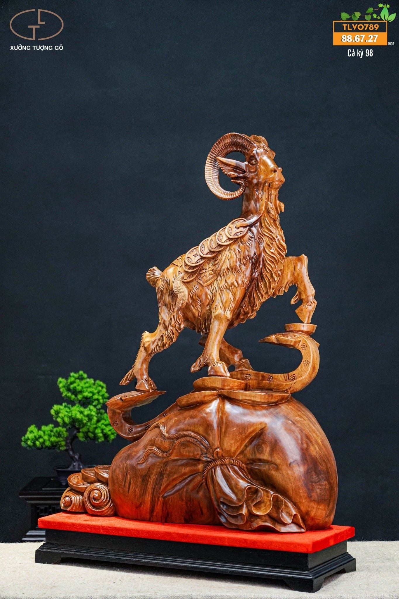 Nhất dương đứng bao tiền ngọc am