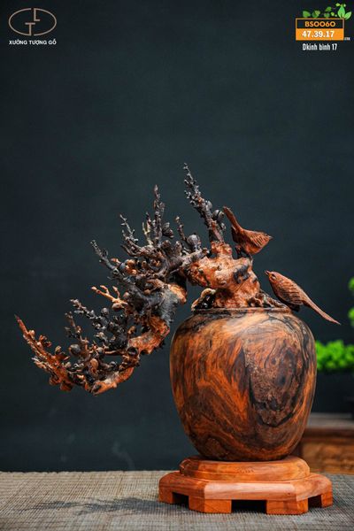 bonsai đào gỗ trắc