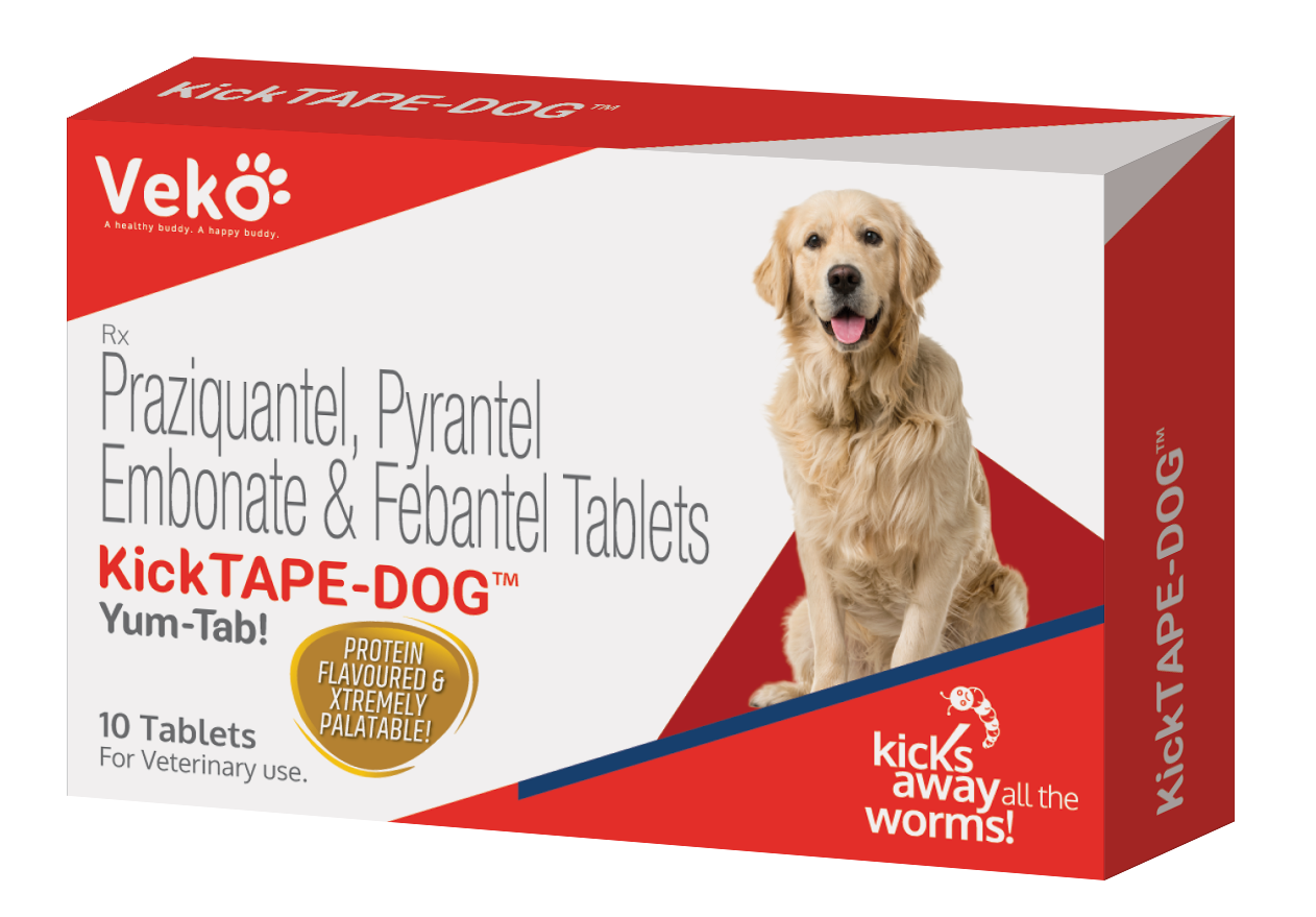 Thuốc tẩy giun cho chó Kick Tape 25 mg/viên