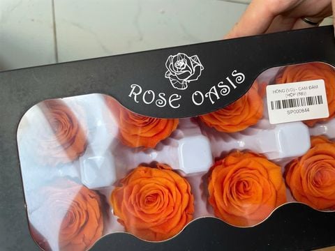 Hoa hồng preserved màu cam tươi - M (4-5cm)