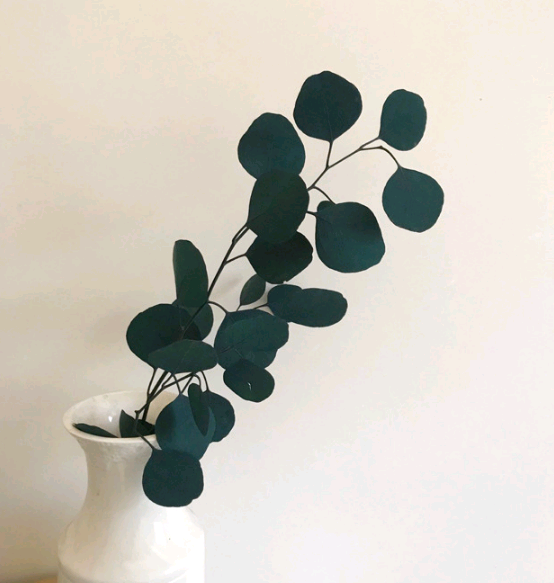 Lá Đô La Preserved-Xanh Lá Đậm (bó) (Eucalyptus populus)