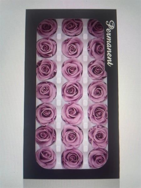 Hoa hồng preserved-XS-màu hồng ruốc