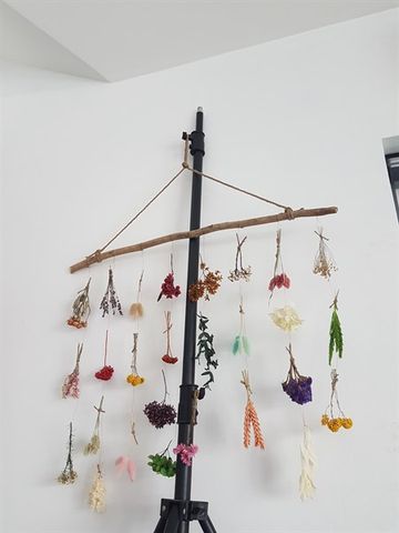 Hanger mùa xuân 07