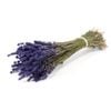 Hoa oải hương/Lavender
