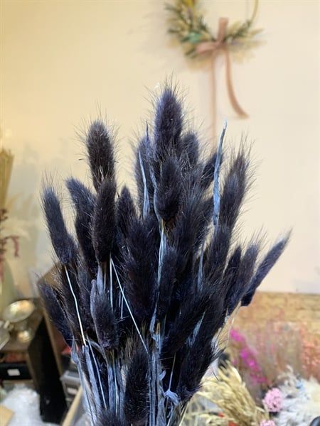 Đuôi thỏ màu đen
