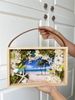 Hộp hoa khô Summer box nhiều màu M120211S